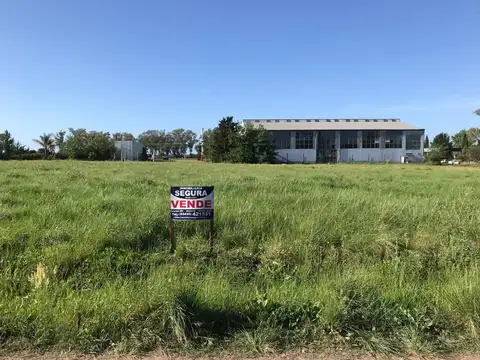 LAS VIOLETAS ( A 67.84 DE CALLE)