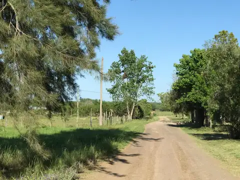 Terreno en Venta de 1230,0 m2