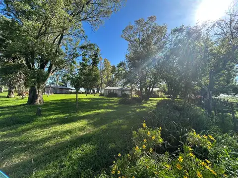 Campo en Venta de 55  ha