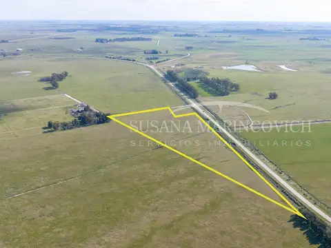 Campo/ fraccion lindero a ruta apto para desarrollo venta en San Vicente