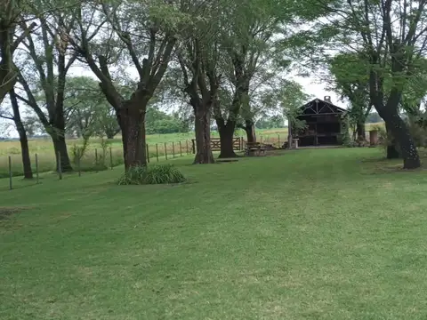 Campo - Venta - Argentina, Saladillo