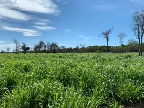 Venta de Campo,16930 HAS Paraguay