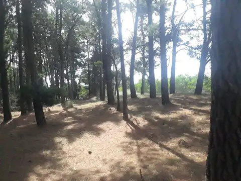 Terreno - Venta - Argentina, Mar de las Pampas