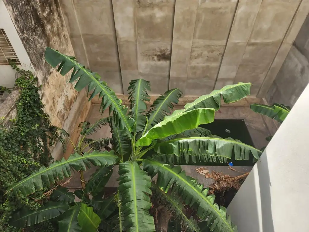 POLANCO LOMAS en Centro