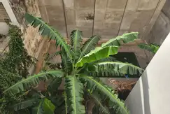 POLANCO LOMAS en Centro