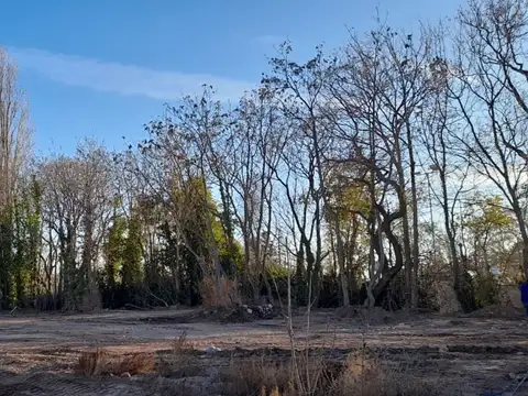 Terreno en Venta en Luján de Cuyo, Mendoza