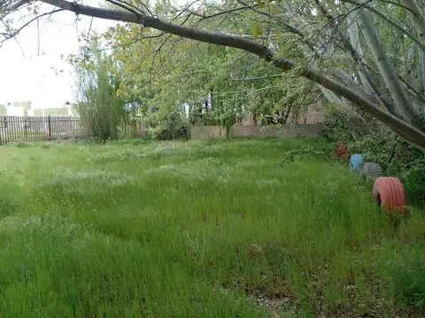 TERRENO KM12 ZONA COMERCIAL FORESTADO