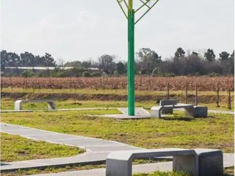 IBARLUCEA SCHILLA 2661 FINCAS de IBARLUCEA