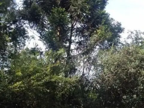 Terreno en Venta en Manuel B Gonnet, USD 490.000