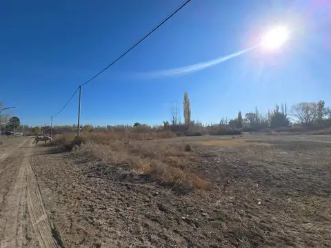Terreno en Venta en Cinco Saltos, USD 10.500