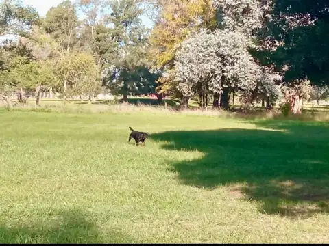 Terreno en Venta de 2059,0 m2