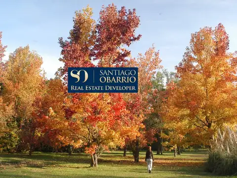 Terreno en Venta de 38000,0 m2