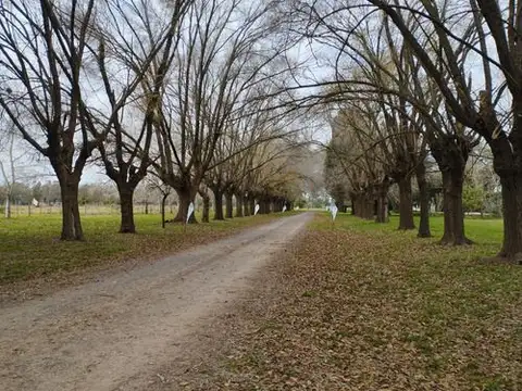 Terreno en Venta en Carlos Spegazzini, USD 22.800