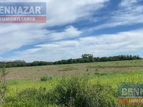 Venta Campo 40 Hectáreas en Gobernador Castro