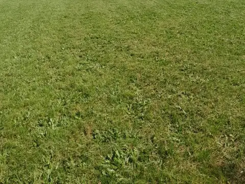 LOTE DE 5004 MTS CON VISTA A LAGUNA EN CLUB HARAS EL MALACATE