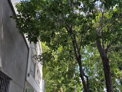 Depto Tipo Casa en Venta de 2 ambientes