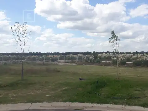 Interno, orientación NE, con fondo a espacio verde