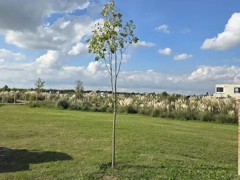 Lote interno con fondo a espacio abierto. Barrio El Naudir, Escobar