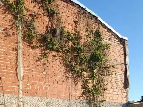 Av. 147 6400