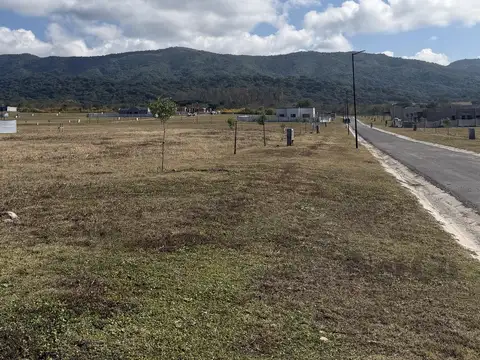 VENTA DE TERRENO EN LA ARBOLADA