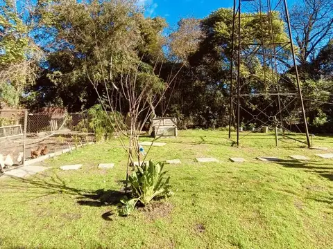 Rosario 100