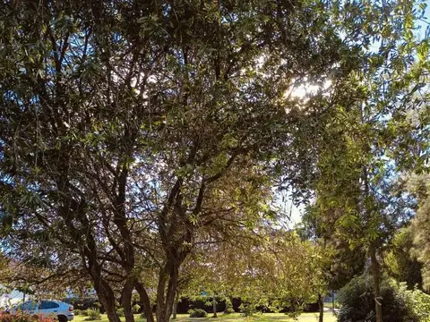 Quinta de 2651 mt2 con todos los servicios! Excelente ubicac