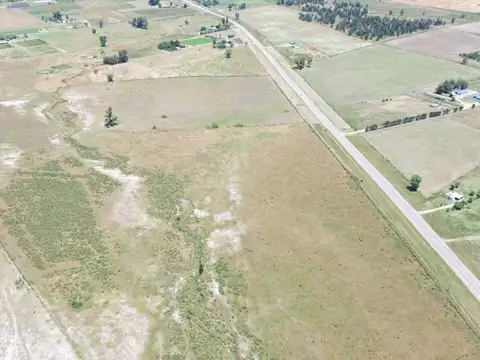 Ruta 7