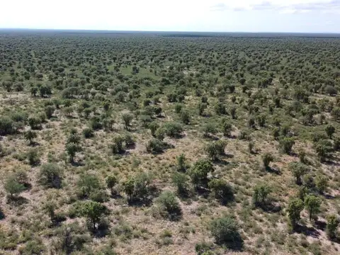 Venta Campo Ganadero 2183 hectáreas en Quilino