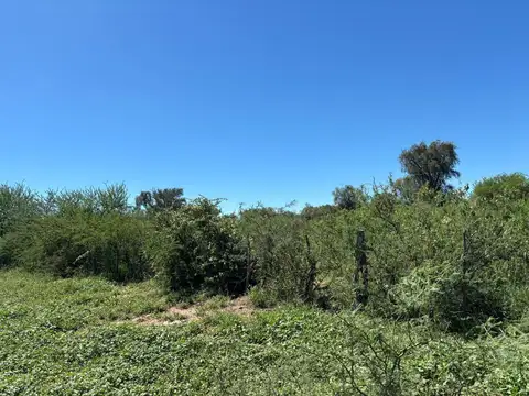 Venta Campo Ganadero 2183 hectáreas en Quilino