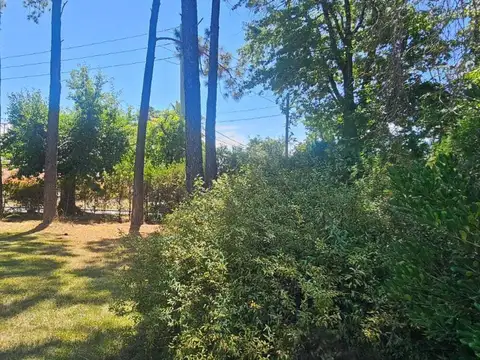 Terreno en Venta de 870,0 m2