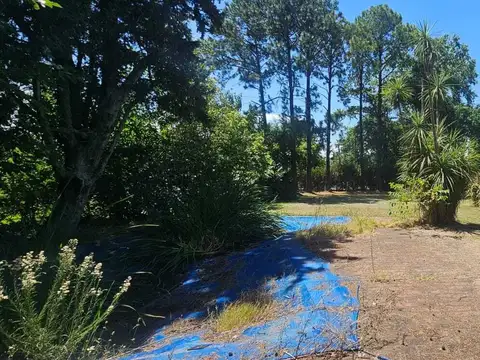 Mapuche CC Avenida de los robles 100