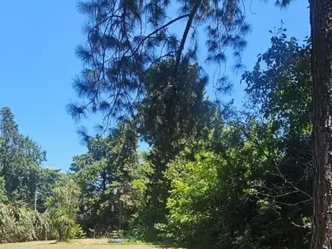 Mapuche CC Avenida de los robles 100