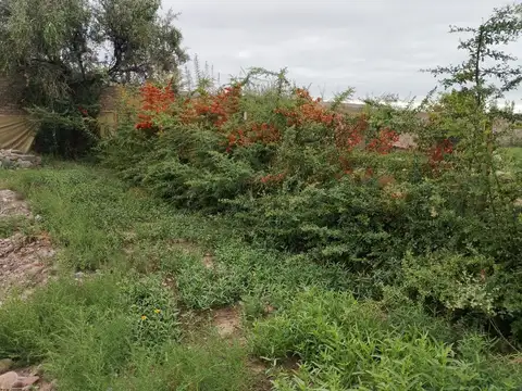 Terreno en Venta de 780,0 m2