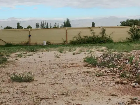 Terreno en Venta de 780,0 m2