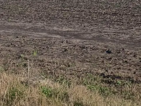 71 Hectareas Mixtas Colonia Avigdor