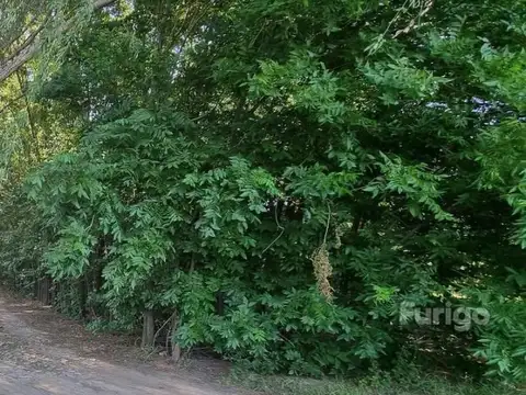 Avenida Central Alberdi (lote U22, Bo. cerrado La Catalina) 100