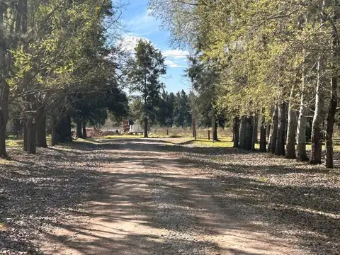 Terreno en Venta de 2800,0 m2