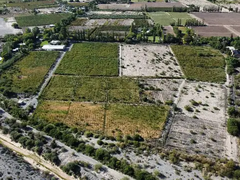 Campo en Venta Agricola