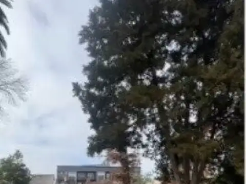 Depto Tipo Casa en Alquiler A Estrenar