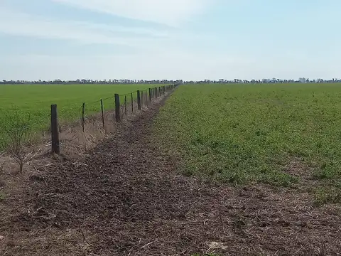 Campo de 47 has En Egusquiza