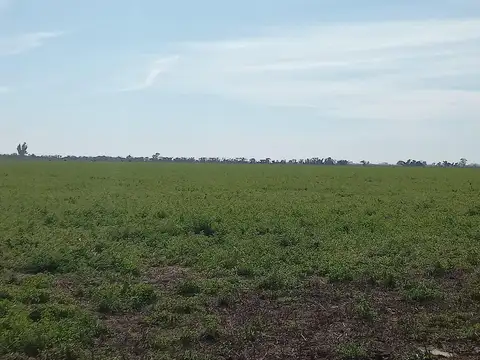 Campo de 47 has En Egusquiza