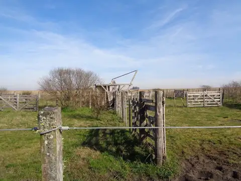 Campo en Venta Mixto