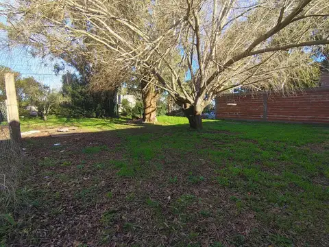 Terreno en Venta de 252,0 m2