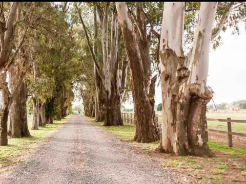 VENTA LOTE A LA LAGUNA 1332 M2, EL CAMPO CARDALES, FINANCIACION PROPIA