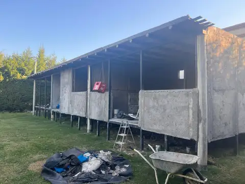 Casa en Venta de 1 dormitorio