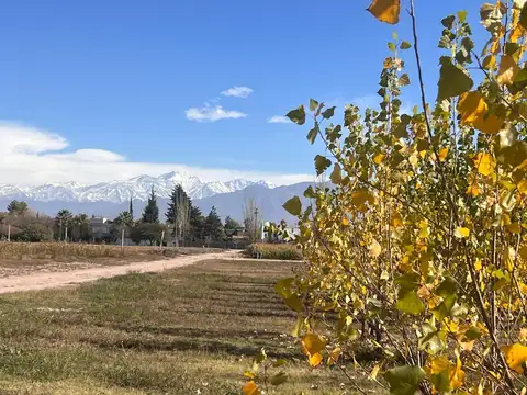 Barrio semiprivado Los Ciruelos  Vistalba