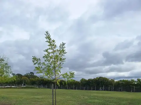 Terreno en Venta en Pilar del Este - Santa Lucia, USD 26.000