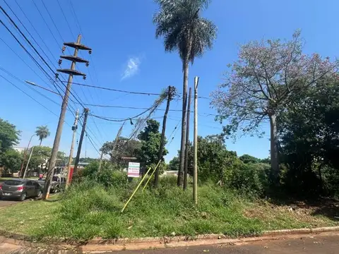 Av. Blas Parera