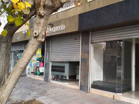 Alquiler Local Comercial Villanueva Guaymallen