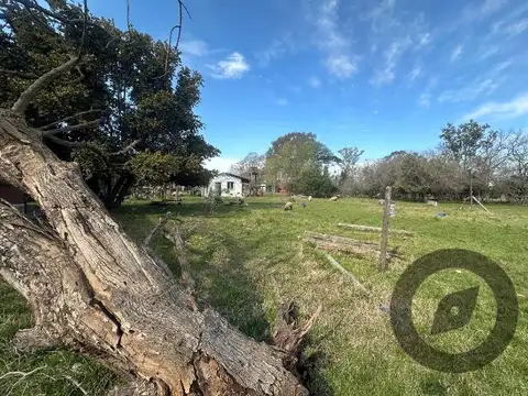 Hectarea en Ministro Rivadavia!